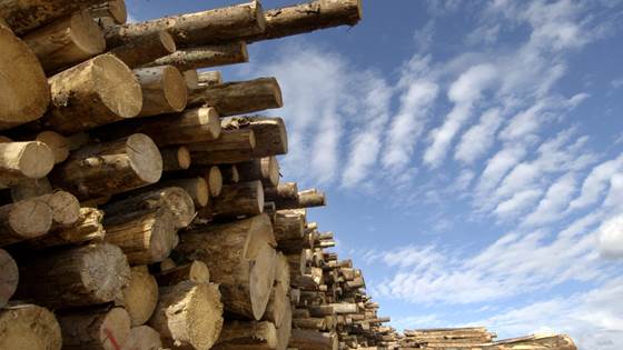 Fornybart isolasjonsmateriale kommer