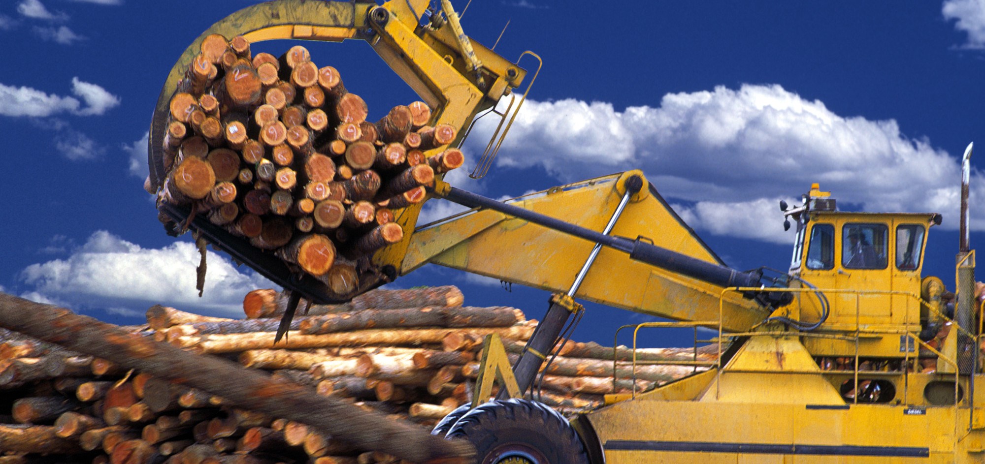 I en populærvitenskapelig artikkel i Dagens Næringsliv slår forskere et slag for bioøkonomien – en æra der trær, planter og biologisk avfall gir oss alt som i dag lages av olje. Illustrasjonsfoto: Thinkstock