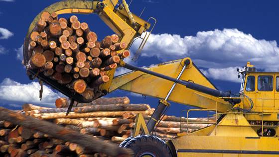 Hvorfor lever olje-økonomien videre?