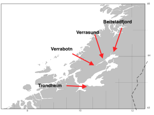 Trondheimfjorden