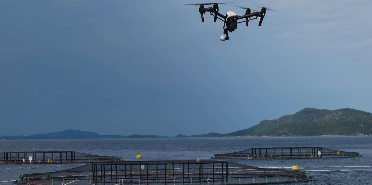Roboter med robotsyn kan hjelpe til med å overvåke fiskemerder. Foto: SENSODRONE project SINTEF FH/Maritime Robotics