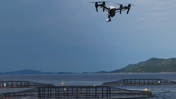 Robotsyn finner sykdom og gir friskere fisk