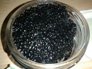Kunstig kaviar av alger. Foto: Wikimedia Commons, FakirNL