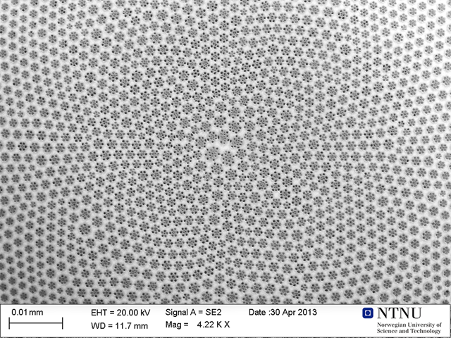 Mikroskopbilde av algeskallets utside. Nanostrukturene i skallet fungerer som en linse, og gjør at algen i større grad kan utnytte sollyset i fotosyntesen. Foto: NTNU NanoLab