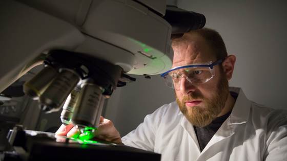 Nanorør tiltrekker seg forurensende stoffer