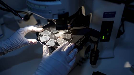 Tryggere antibiotikabruk med ny allergitest