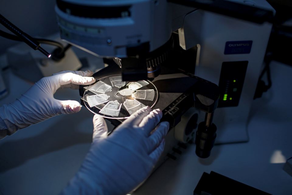 Den nye analysemetoden skal gjøre det enklere for leger å gi pasienter trygg og riktig behandling med antibiotika. Testen analyserer pasientens blodprøver i en spesialutviklet analyseplate i plast, på størrelse med en vanlig CD-plate. Istedenfor lydspor, inneholder platen små kanaler og kamre hvor blodprøven reagerer med ulike allergener. Foto: Remy Eik-Nikolaisen