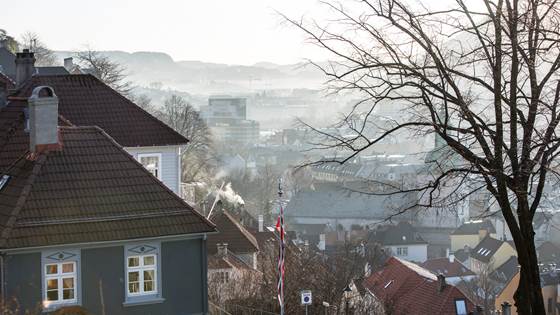 Renere vedfyring vil gi milliardbesparelser