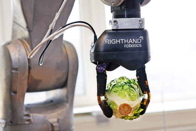 Norge er godt egnet for matproduksjon og forskerne mener vi kan produsere smartere enn konkurrentene. Målet er å automatisere alt som kan automatiseres i produksjonslinjer for næringsmidler. Prosjektet "iProcess" som Forskningsrådet finansierer, ser blant annet på hvordan roboter skal få til å gripe føyelige objekter som salat. Foto: Unni Skoglund.