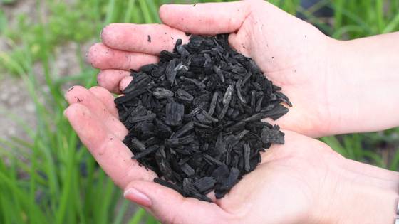 Denne geniale metoden binder CO2 og forbedrer jorda samtidig