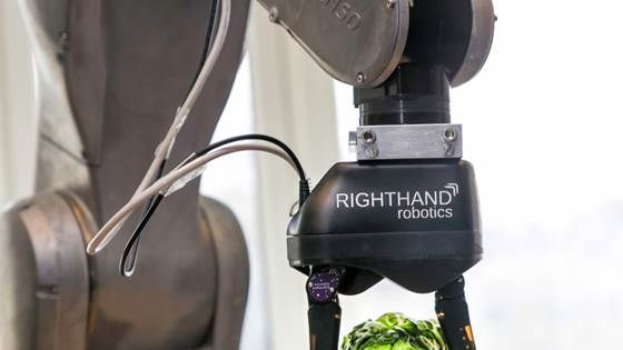 Roboten som kan berge matbransjen