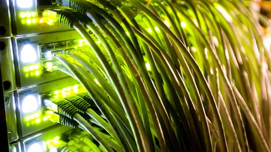 IKT-debatten vi ikke tør å ta