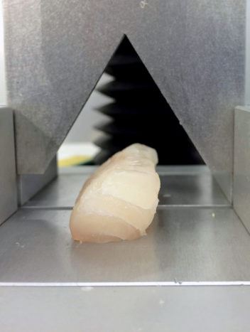 Labforsøk: Her måles tekstur i fisken. Det gjøres gjennom å måle kreftene som går med til å kutte filetbiter (shear force). Foto: SINTEF