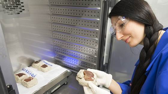 Hvordan lage den beste norske skinka