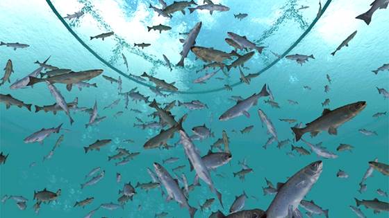 Nytt undervannskamera har supersyn