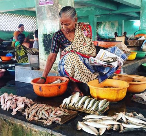 7 millioner tonn fisk og skalldyr går til spille i India. Nå etterlyser SINTEF norske industripartnere i kampen mot problemet. Foto: Guro Møen Tveit, SINTEF.