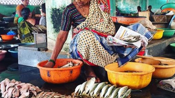 Indisk matsvinn på bordet til norske forskere