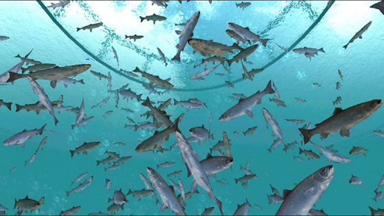 Bli med på en digital fisketur