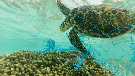 Gründere vil ghostfishing til livs med ny teknologi