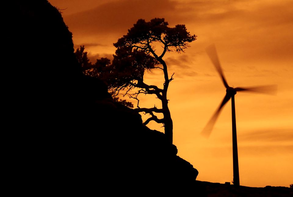 Matet med kunstig intelligens skal et kommende felleseuropeisk dataverktøy forutsi hvordan gitte lokalsamfunn kommer til å reagere på vindparker, alt etter hvilke særtrekk anleggene får. Bildet er fra Bessakerfjellet i Roan kommune i Trøndelag. Illustrasjonsfoto: Bjørn Rørslett/Samfoto