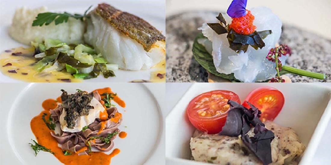 Et mangfoldig utvalg av tang og tare finnes i rikelige mengder langs kysten av Europa, så potensialet for bruk av ressursen som mat er stort. Foto: Pierrick Stévant, NTNU