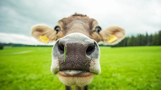 Nå blir Dagros datainnsamler for norske forskere