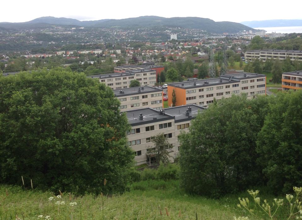 Vestlia borettslag i Trondheim er et boligområde bygd på 1970-tallet, hvor forskerne har undersøkt forskjellige rehabiliteringsscenarioer. Foto: Kristian S. Skeie