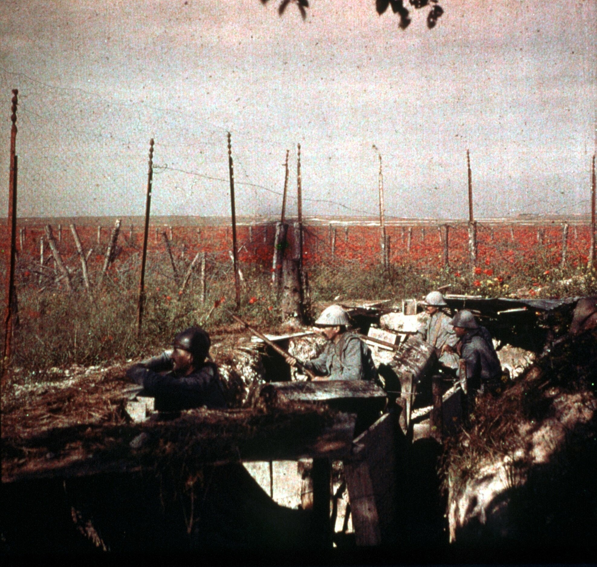 Første verdenskrig ble gjennombruddet for et sorteringssystem som hjalp feltleger å se hvilke skadde soldater som ville ha nytte av behandlingen som kunne gis. I dag bruker systemutviklere et liknende system til å forhindre at datasystemer skal kollapse. Arkivfoto: NTB