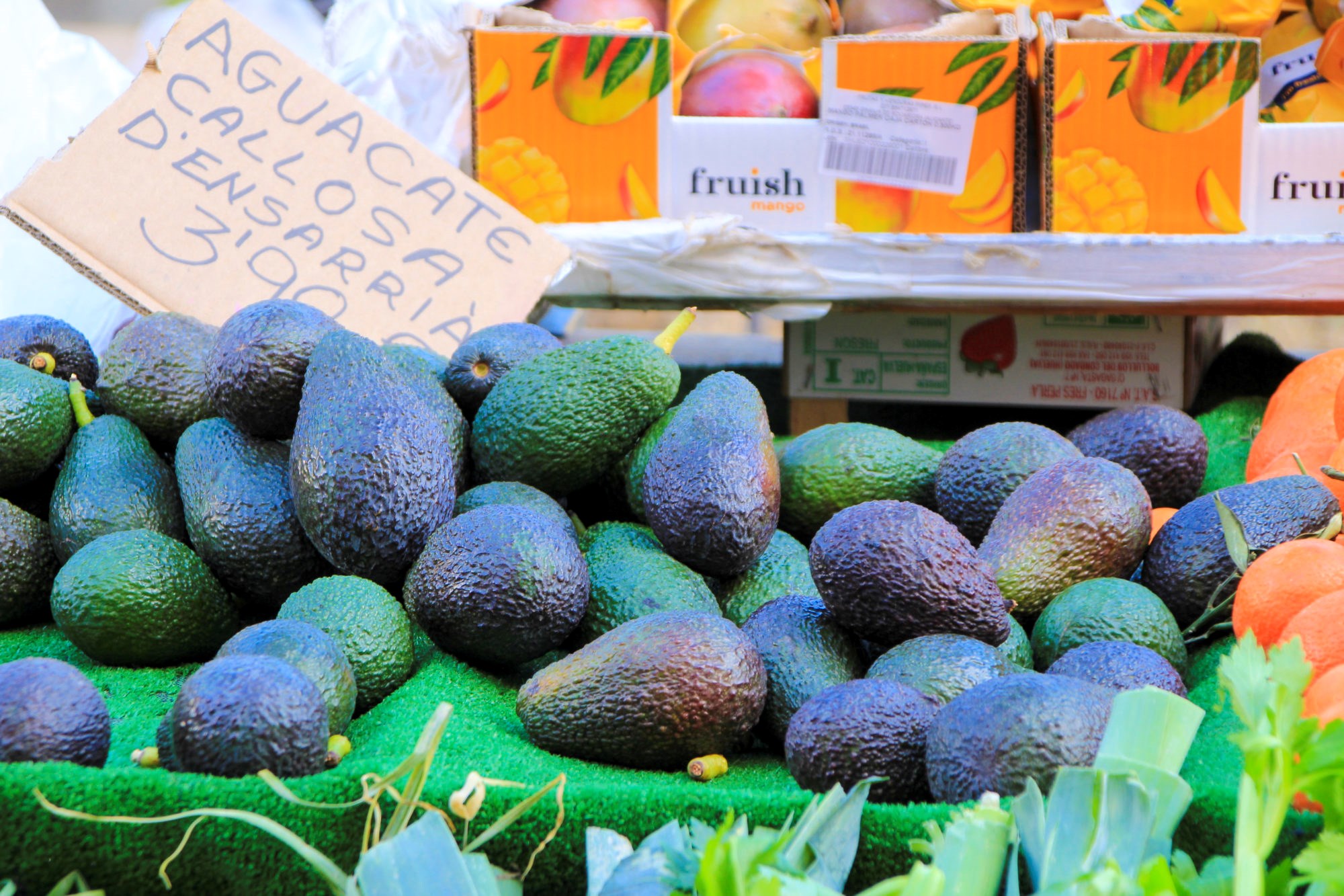 Dyrke avocado i Norge? Eller andre idéer, anyone? Tirsdag 11. mai fra 11:00 til 12:00 inviterer SINTEF og HighEFF til åpent webinar om overskuddsvarme i regi av Enerwe. Det blir også mulighet til å stille spørsmål. Illustrasjonsfoto: iStock