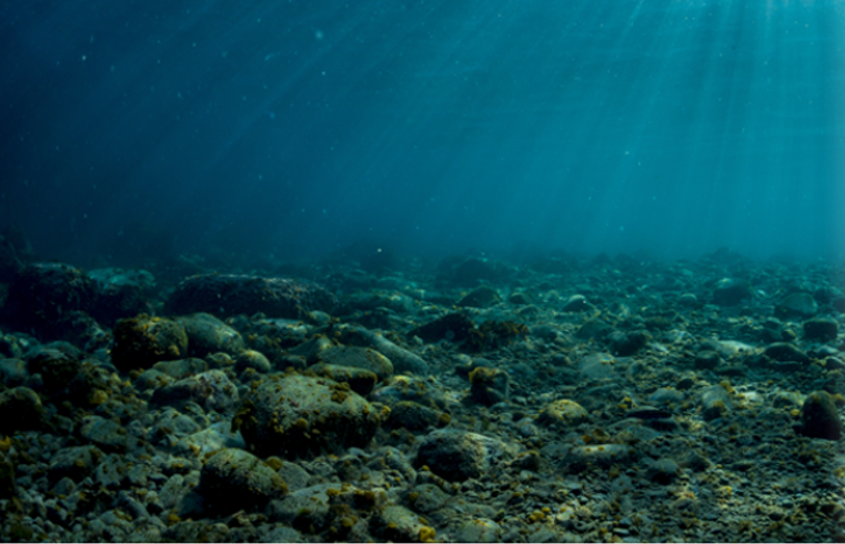 Norges havbunn har «gull» som fornybar-Europa vil skrike etter