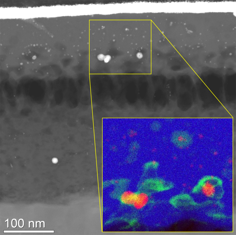 Nanoverden: Her har forskere innkapslet proteiner festet til gull i vannglass. 