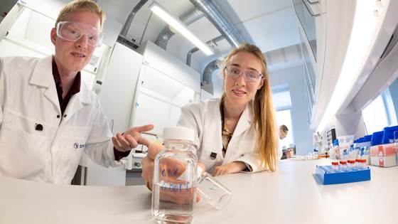 De åpner et nytt vindu inn til naturens nanoverden