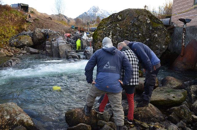 Laksetrapp hugget ut i fjellet i Blokkenvassdraget