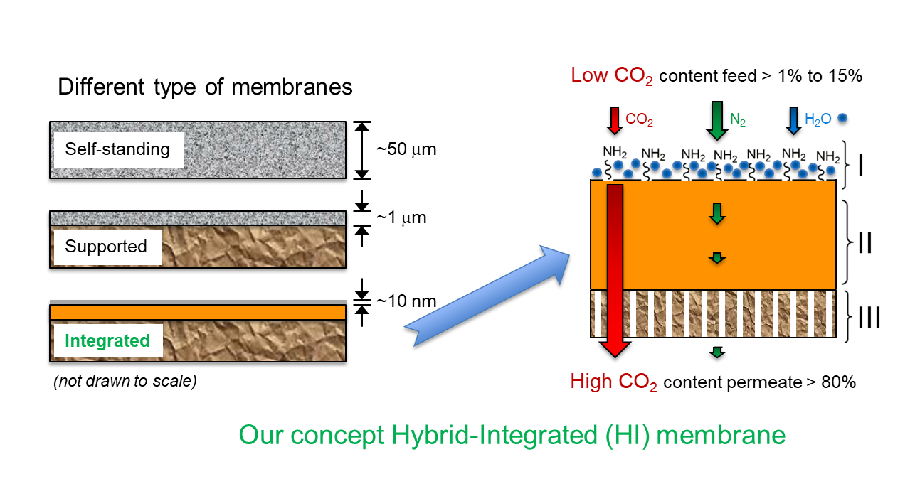 Illustration of the membrane concept.