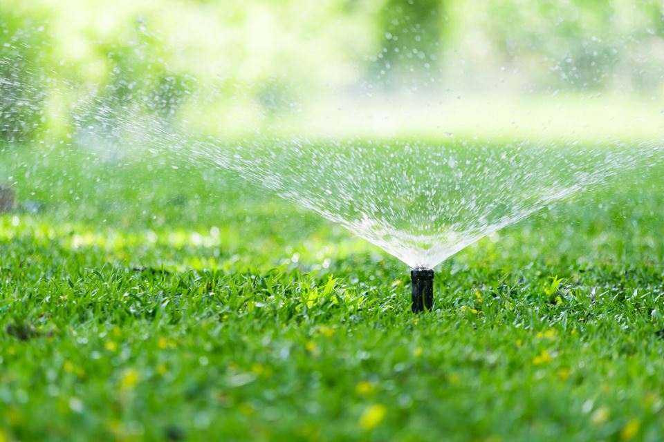 For å sikre rent vann, mat og gode levevilkår for alle, må vi utnytte verdens vannressurser bedre.  Renset avløpsvann kan brukes til å vanne både parker og avlinger. Illustrasjonsfoto: Shutterstock