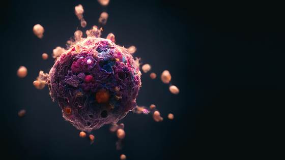 Gründere vil bekjempe alvorlig kreftsykdom med ny nanomedisin