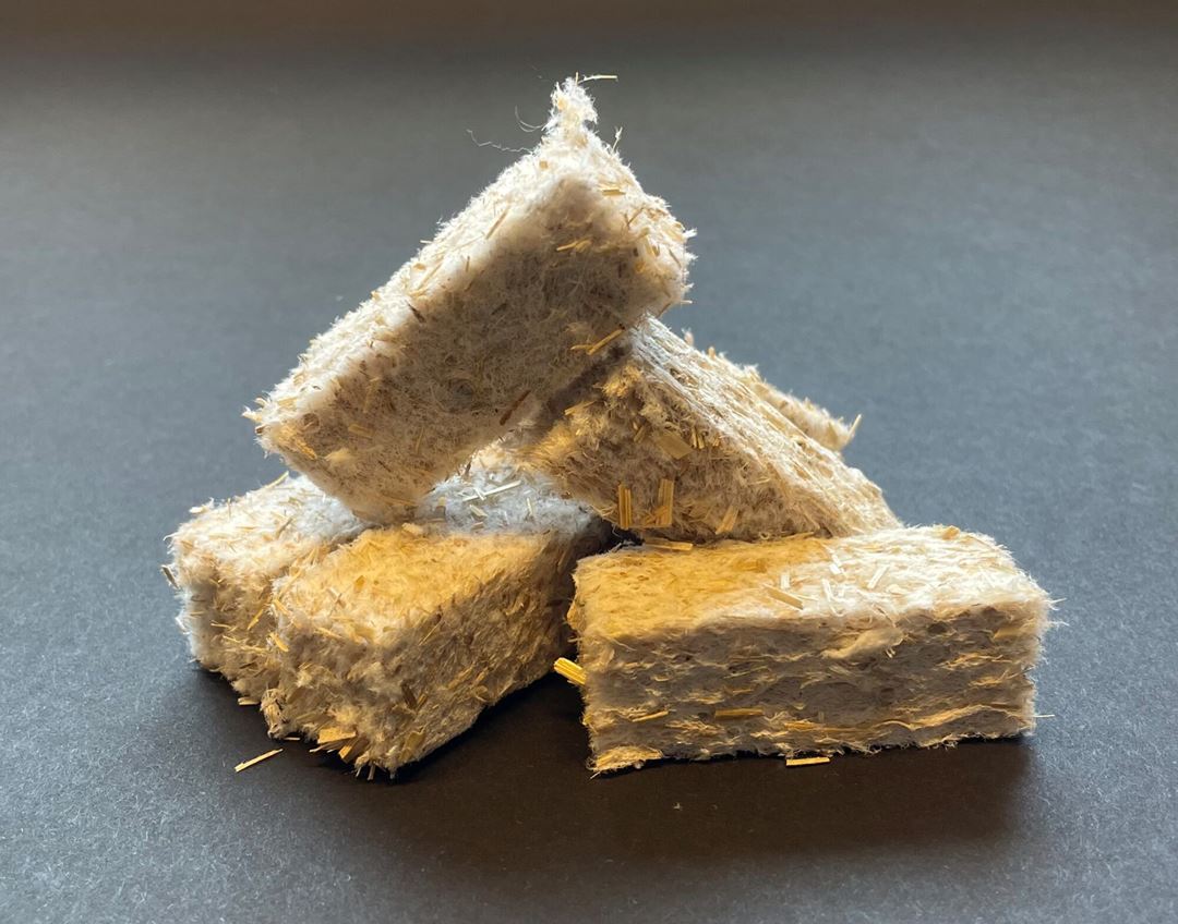 Dyrkingsmedium for planter av cellulose. De skal gjøre det mulig å dyrke mat på månen. Foto: Jana Pavlova