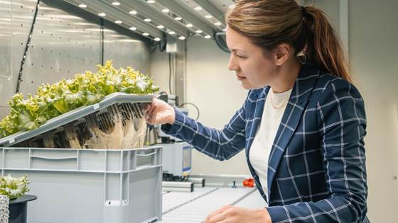 Her dyrker forskerne salat som kan gro på månen