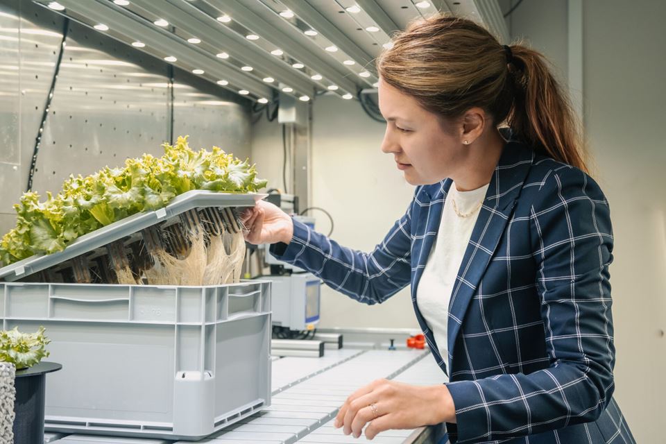 SINTEF-forsker Galina Simonsen viser fram dyrkingsmediet. Her er hun i laboratoriet ved CIRIS/NTNU Samfunnsforskning i Trondheim. Foto: Jana Pavlova