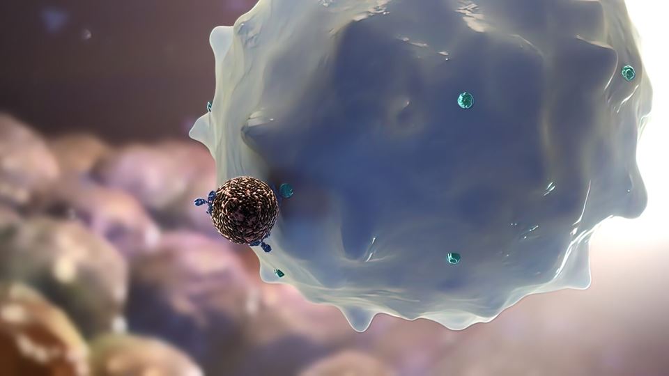 Kroppen klarer ikke å skille mellom nanopartikler og virus. Vi har immunceller som er spesialister på å spise og fjerne slike virus. Men, de samme cellene spiser også nanomedisin -  og det kan gi oss nye former for immunterapi mot kreft. Illustrasjonfoto: Shutterstock