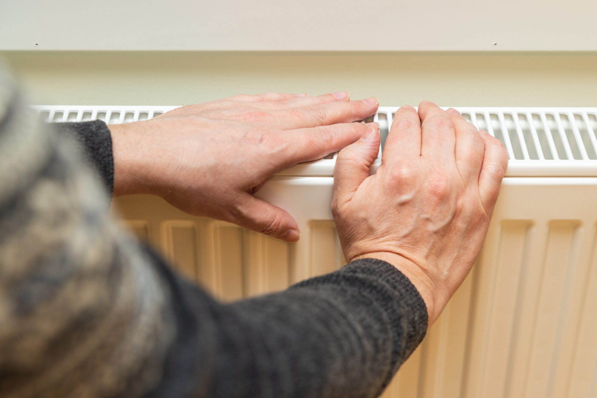 Slik kan solenergi lagres i “batterier” lagd av matavfall