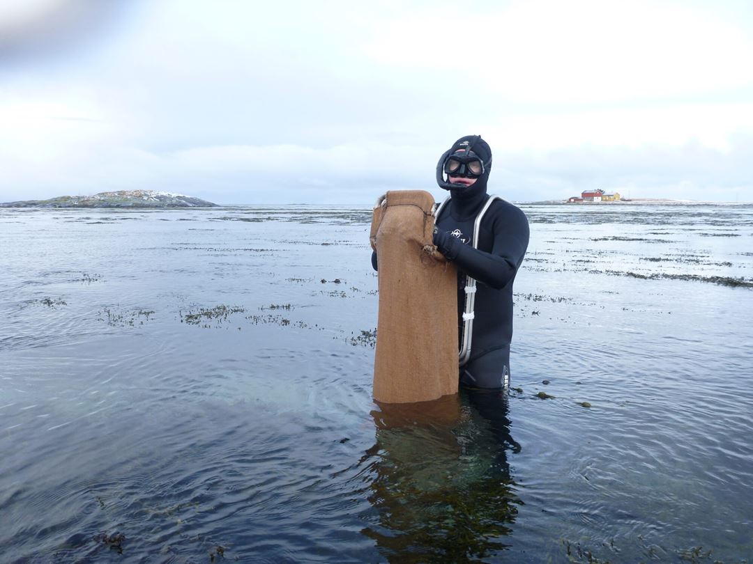 Dykker Jon Eirik Brennvall  med full pose strandsnegler. 