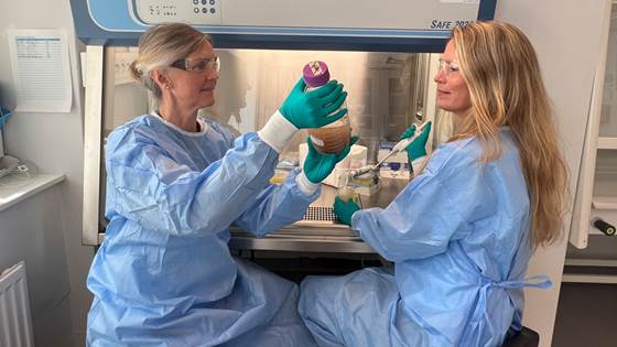 Kan bruk av desinfeksjonsmidler gi antibiotikaresistens?