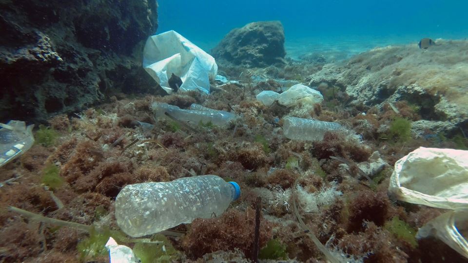Plastsøppel i havet kan trolig bidra til antibiotikaresistens, tror forskere. Foto: iStock/Andriy Nekrasov