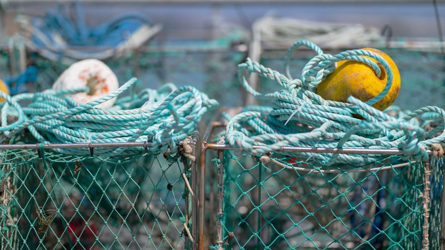 Ny guide skal hjelpe sjømatindustrien å bli mer miljøvennlig