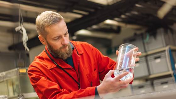 Derfor belyser vi lakselusa