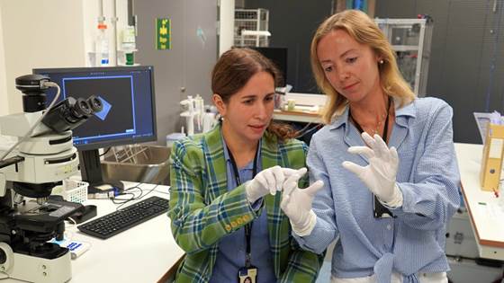 Vi utvikler teknologier som kan redusere dyreforsøk i medisinsk forskning
