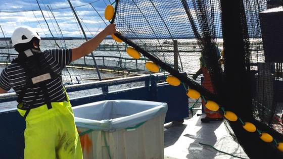 I denne bransjen er seks av ti bekymret for at jobben går ut over helsa