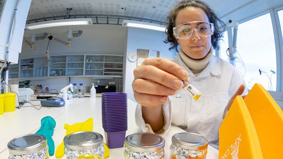 Forskerne ble overrasket da de undersøkte giftigheten i vanlige plastprodukter