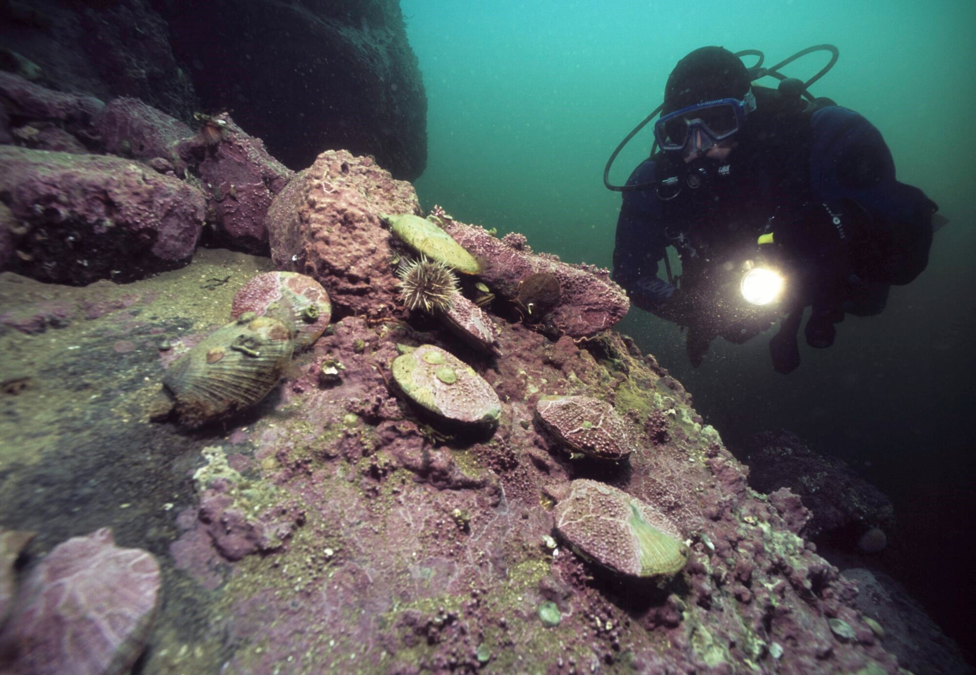 Hvorfor skrote rimelig innovasjonshjelp som virker?